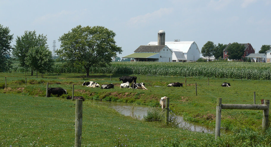 Kawartha Lakes dairy farmers sought for focus group