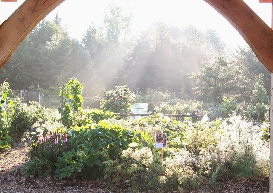 Can you dig it? Community Garden looking for more gardeners