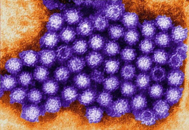 Ross Memorial grapples with suspected Norovirus