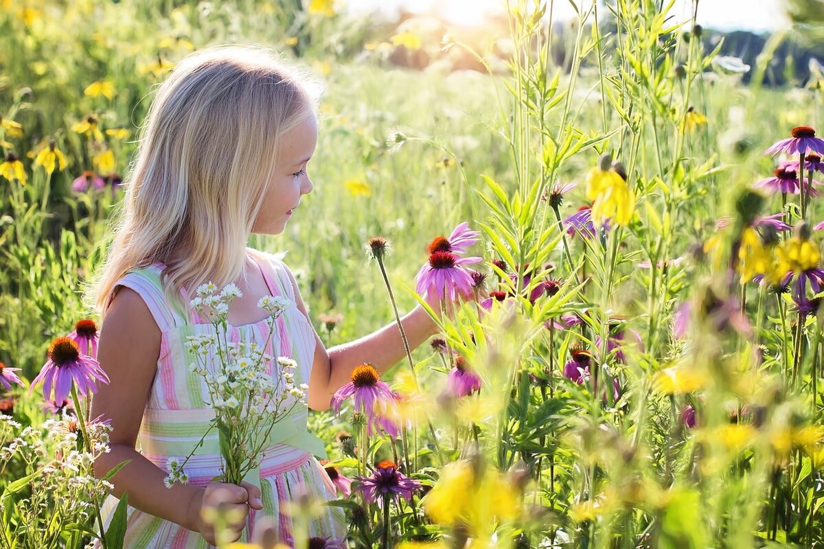 Nature camps for kids: Kawartha Conservation