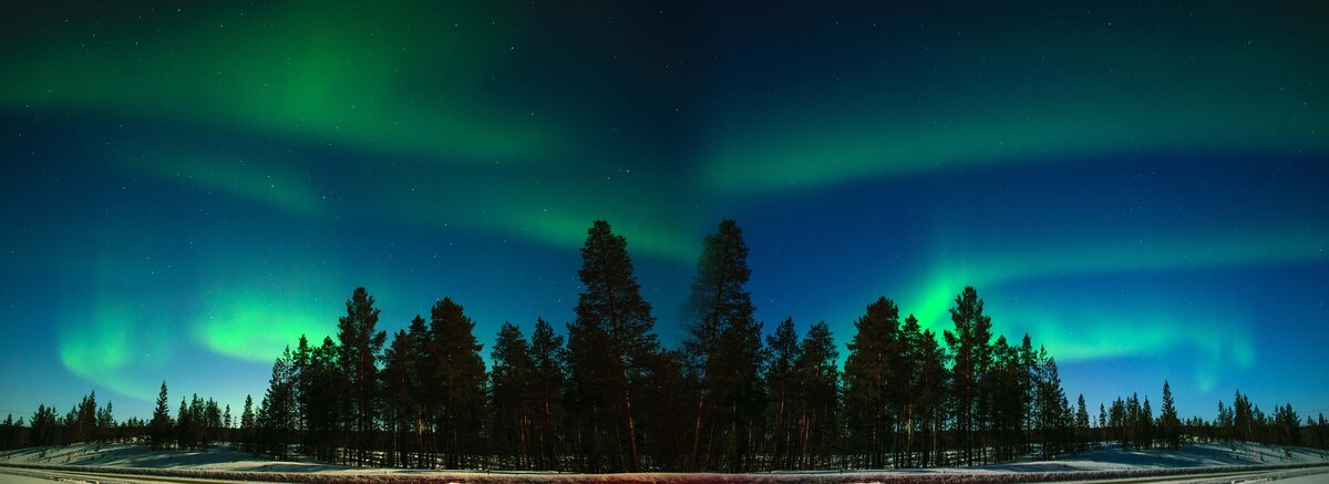 Trippin’ to Finland and other destinations with the library