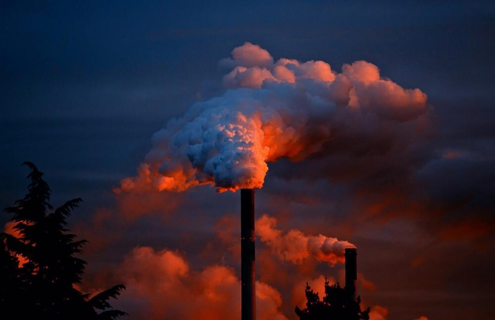 Reflections on the economy-ecology paradox