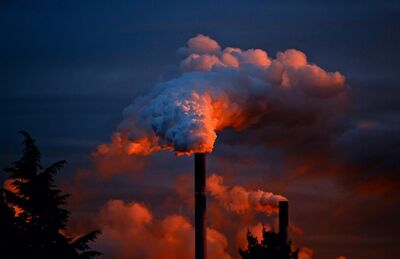 Reflections on the economy-ecology paradox