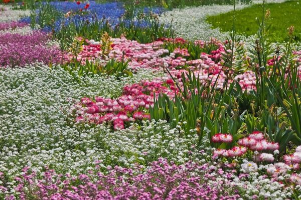 Low-cost native plant program opens