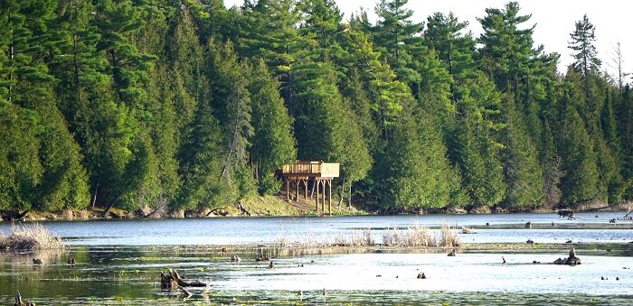 McLaren Marsh viewing platform open again at Ken Reid
