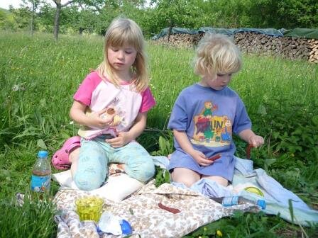New summer lunch program to feed hungry children
