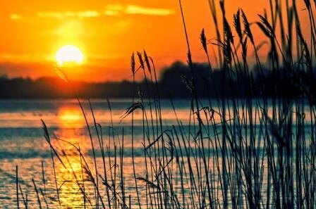 RBC Foundation: Funding to improve Omemee beach
