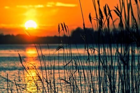 RBC Foundation: Funding to improve Omemee beach