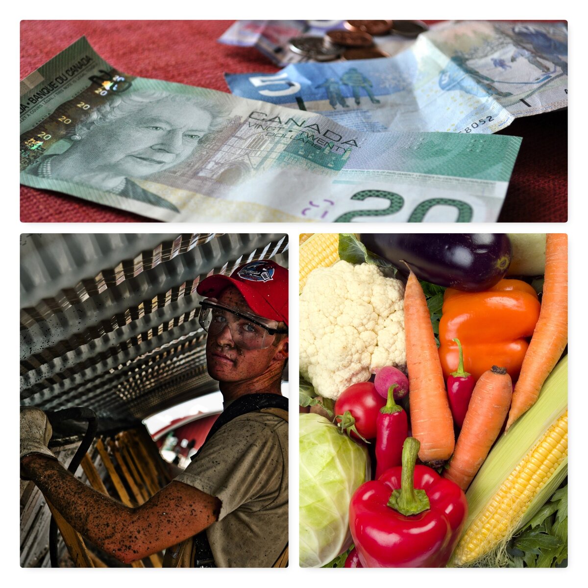 Who knows best? The case for basic income