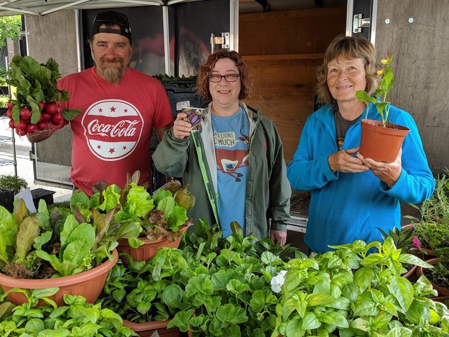 New Thursday Farmers’ Market to open at Wilson Fields