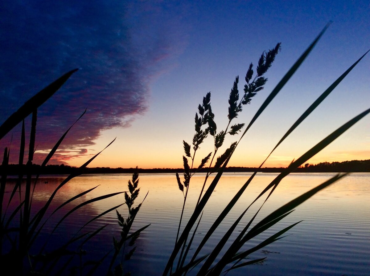 Great to be home in Kawartha Lakes
