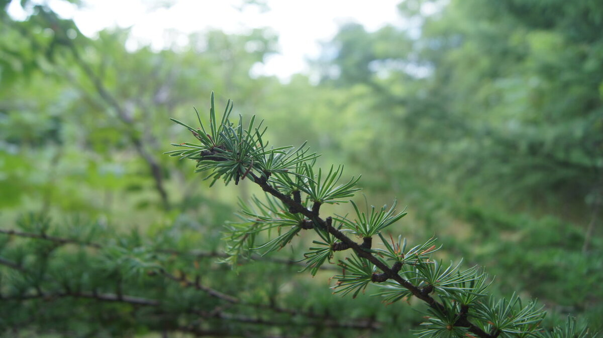 Four projects showcase Fleming as leader in environmental, natural sciences