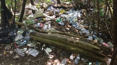 Local man draws attention to 'awful' litter near Rainbow Bridge in Lindsay
