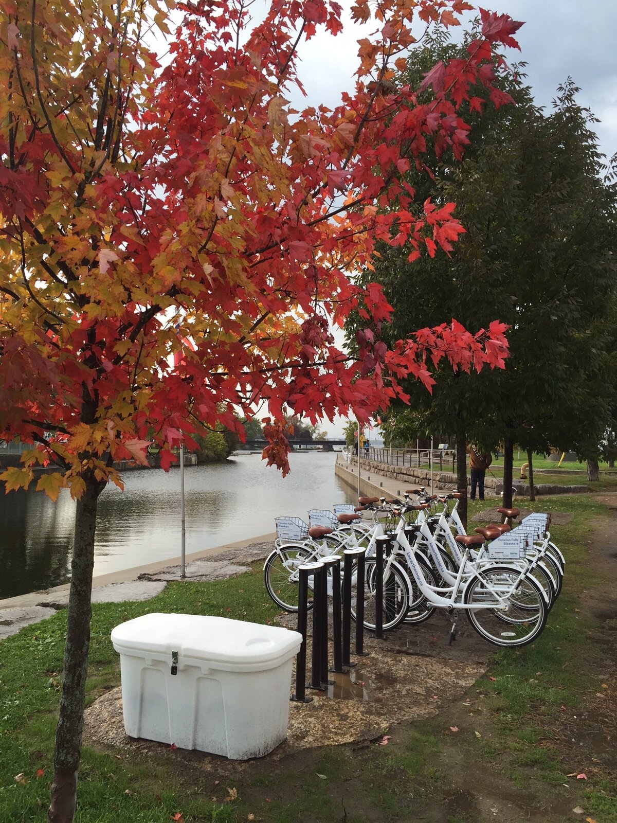 Spinning your wheels with a bike share in Fenelon Falls