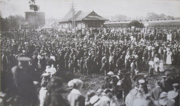 The Great War’s legacy in Kawartha Lakes
