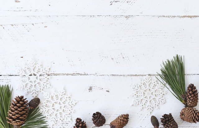 Eco-friendly ideas for holidays from health unit