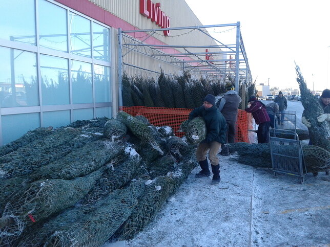 Okay...one, two, tree...Lift!