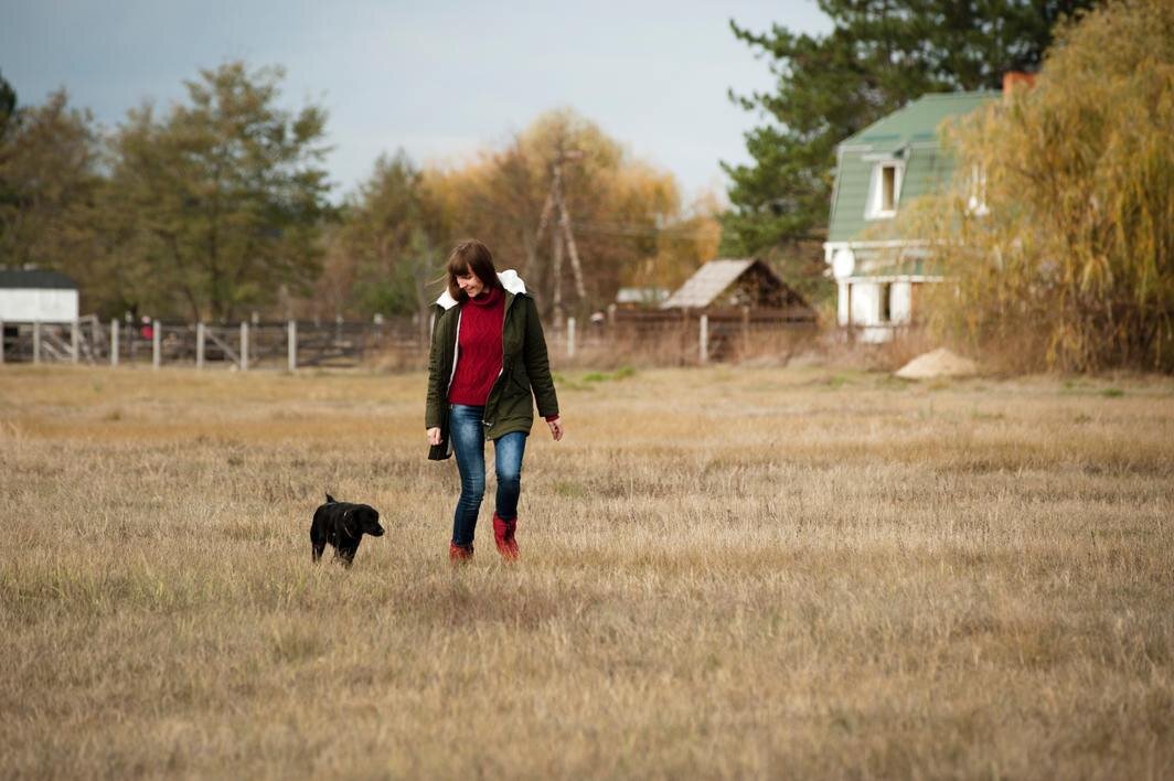 For women experiencing domestic abuse, pets often used as cruel leverage