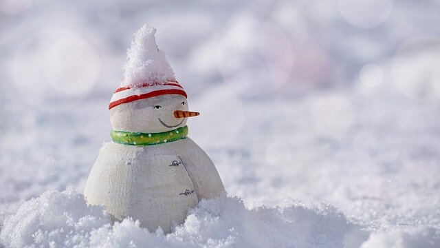 Frostival event in Coboconk at Balsam Lake