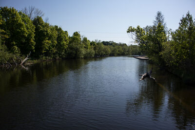 Take the climate change quiz for Kawartha Lakes