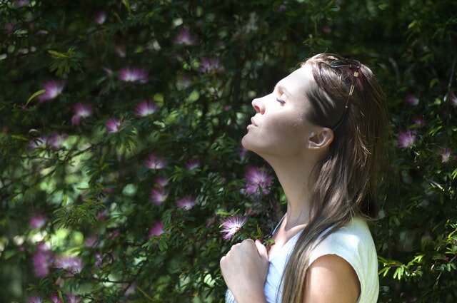 Finding a sense of peace and serenity within life's stresses