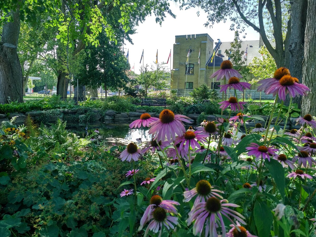 Local musicians needed for this year’s Concerts in the Park series