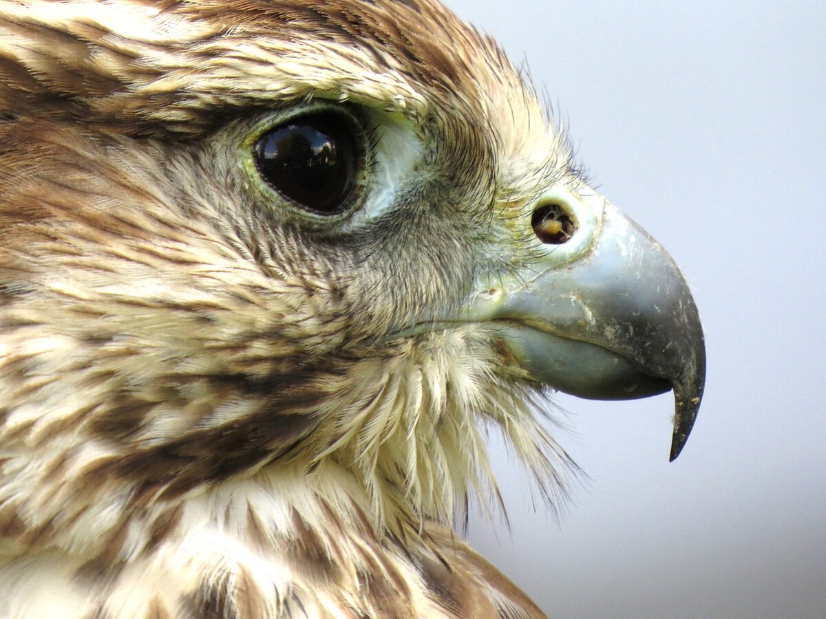 Celebrate the environment and Canada at 150 at Ken Reid Conservation