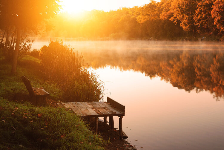 Kawartha Lakes adopts its first Healthy Environment Plan