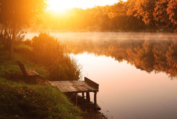 Kawartha Lakes adopts its first Healthy Environment Plan