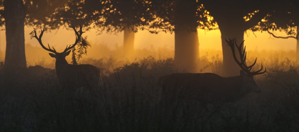 Learning from the first 'farmers' how to save the earth