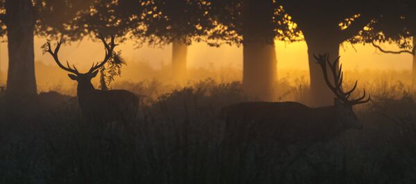 Learning from the first 'farmers' how to save the earth