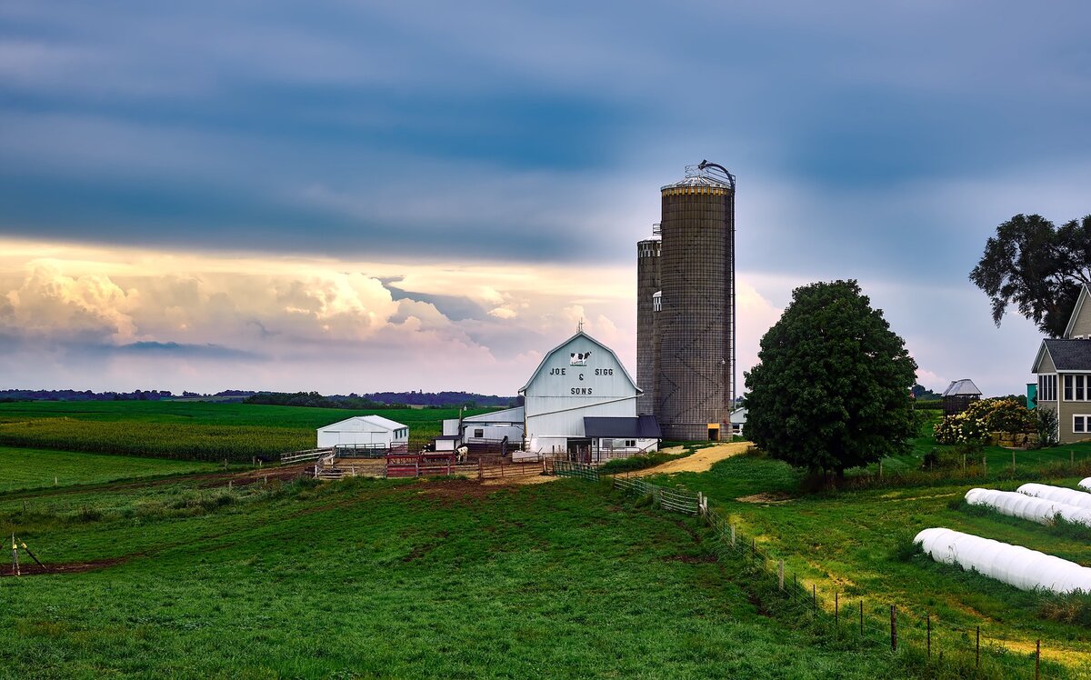 Lindsay lands International Plowing Match 2020 with expected 80,000 visitors