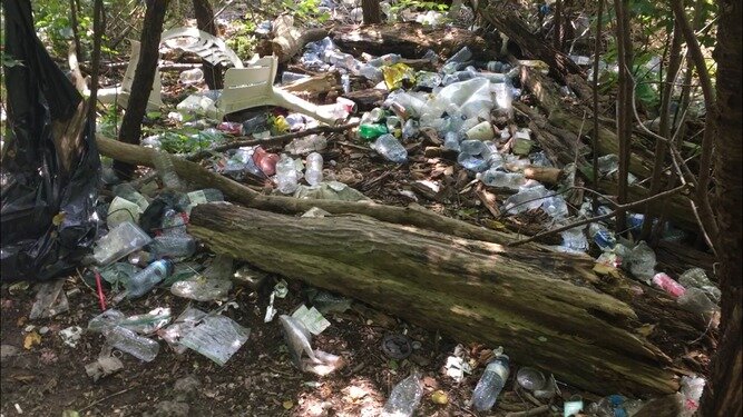 Join in for #trashtag day to clean up City