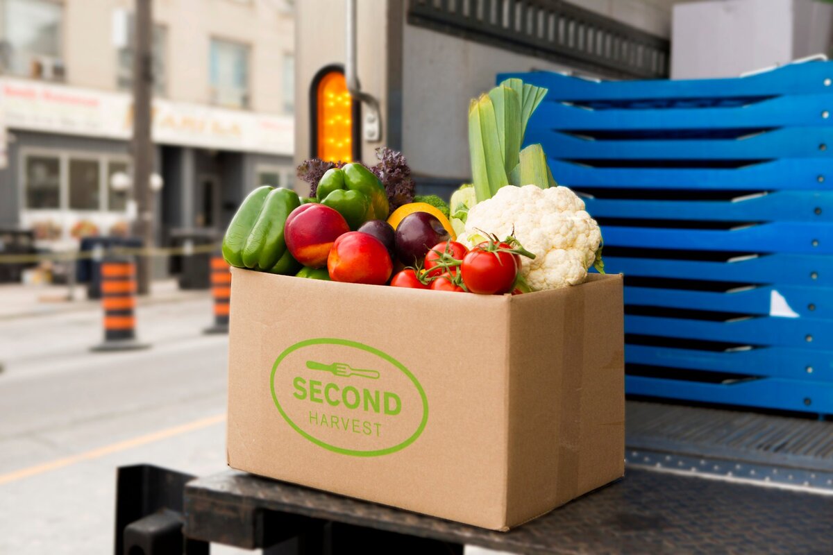 Food Source: Province should change course on social assistance reforms