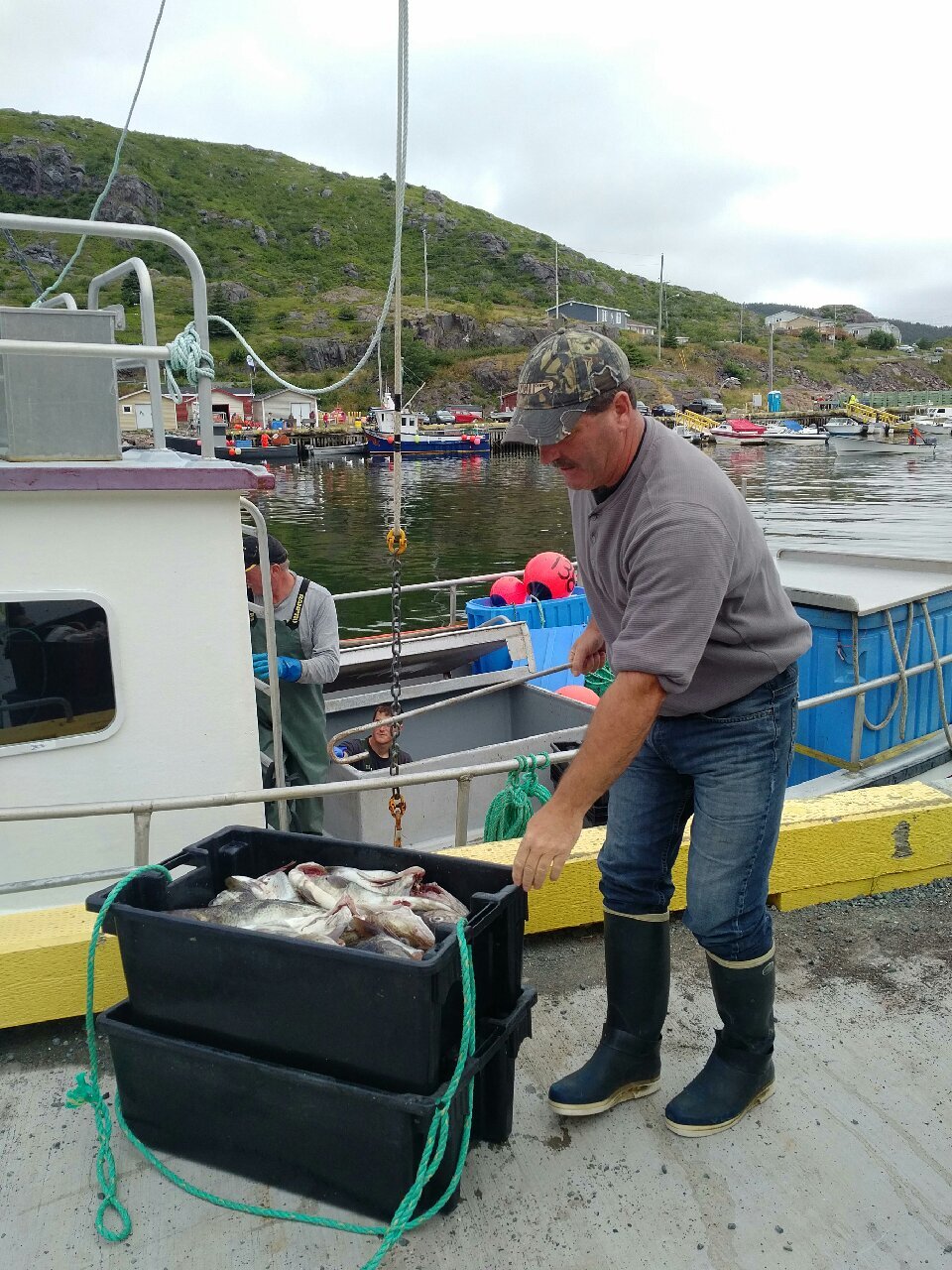 Newfoundland cod, community gardens, and our fading social memory