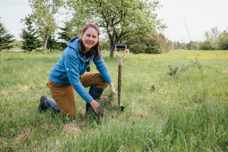 Norland forester plants one millionth tree