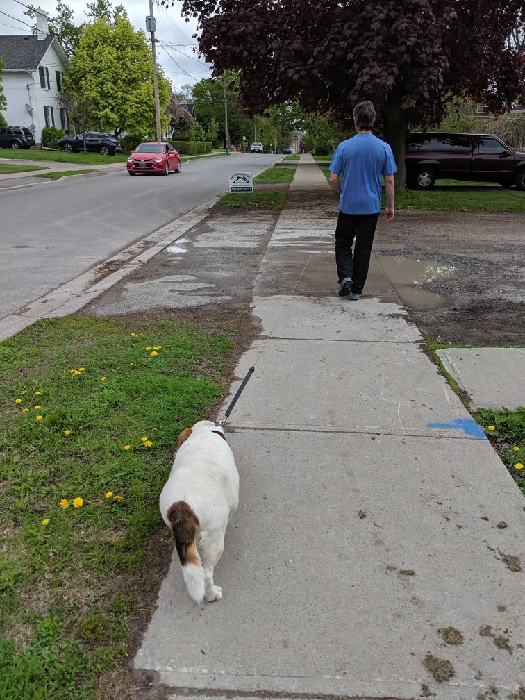 No matter where you are in Kawartha Lakes, there’s Dave