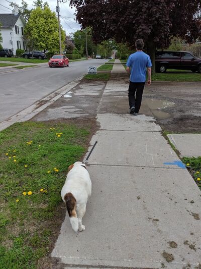 No matter where you are in Kawartha Lakes, there’s Dave