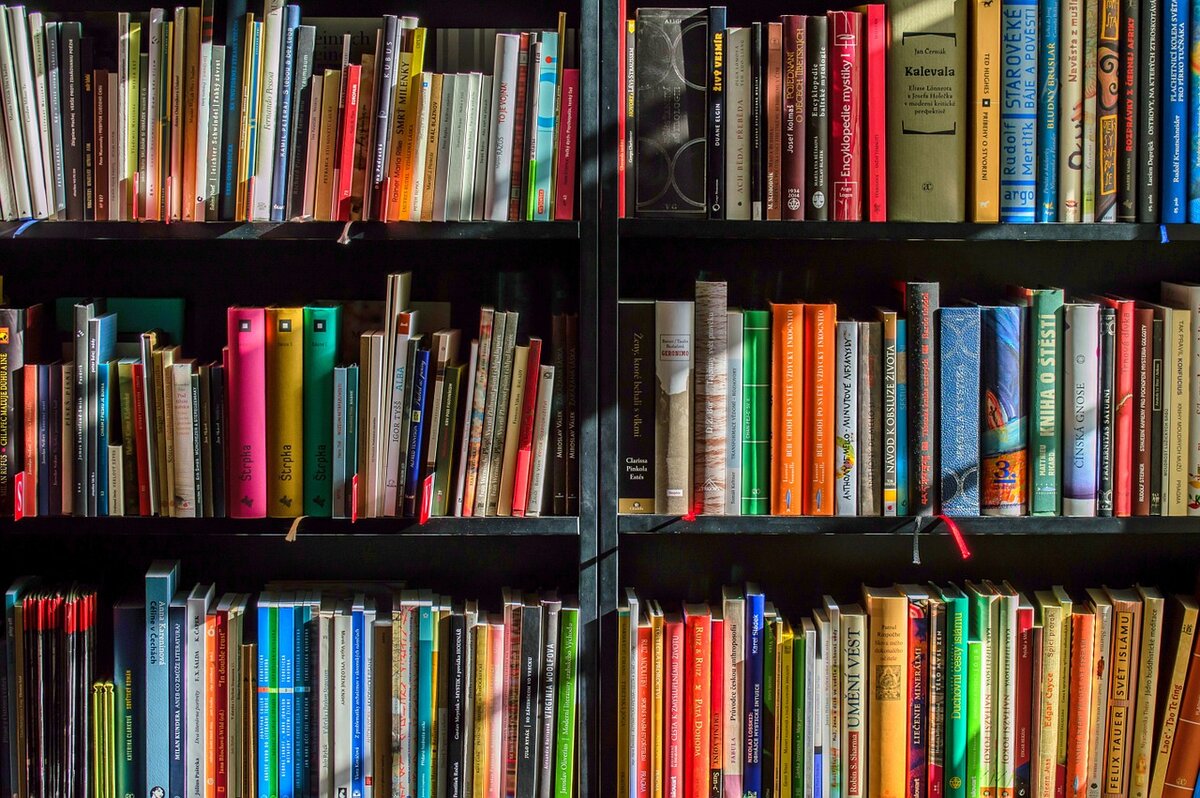 Indigo Love of Reading program to benefit local school