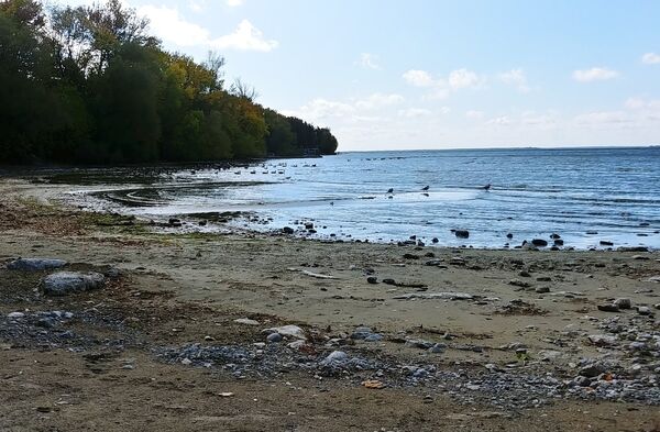 Schmale joins other rural MPs in asking for Lake Simcoe Clean-up Fund to be restored