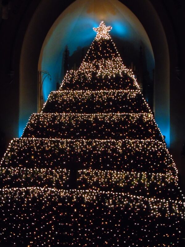 An annual tradition: The Living Christmas Tree