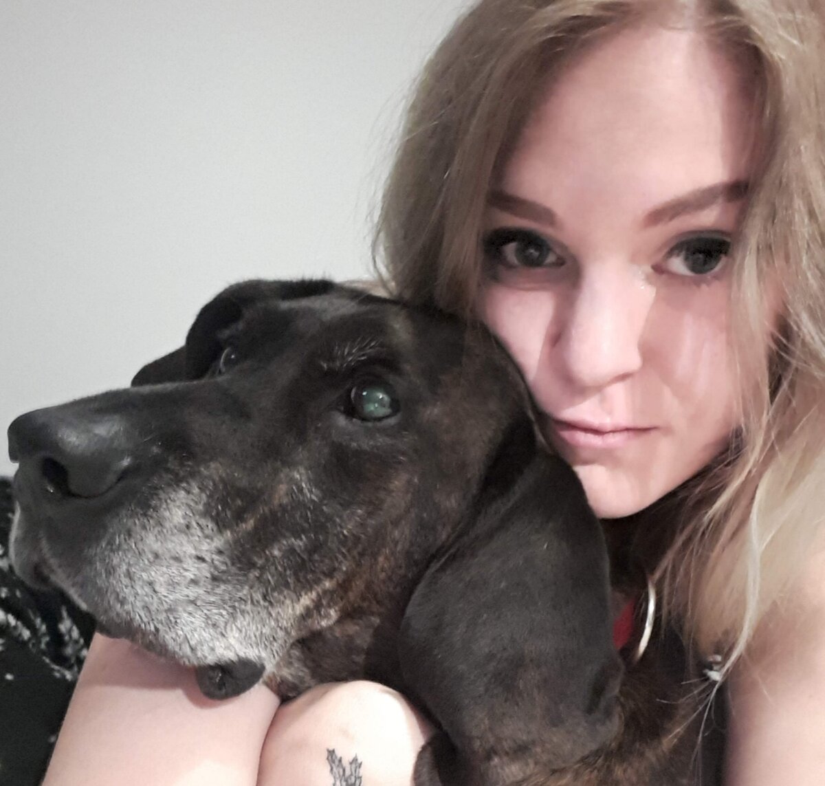 Lindsay woman starts Go Fund Me campaign after theft of Humane Society money