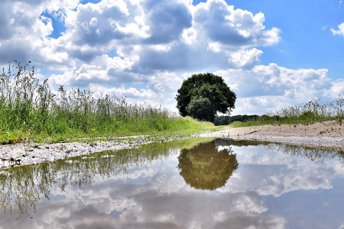 The elusive waters of spring are essential for our farm land