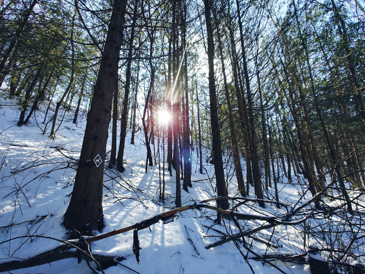 All conservation areas close down, including Ken Reid