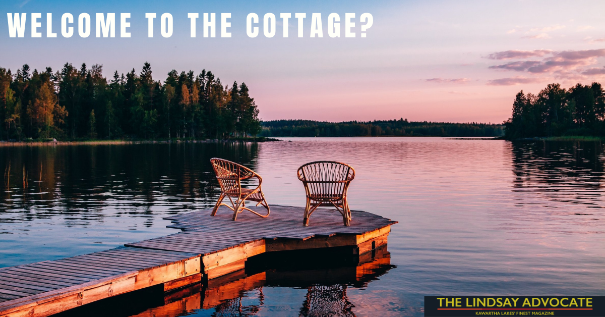 Premier and mayor offer different visions on return of cottagers