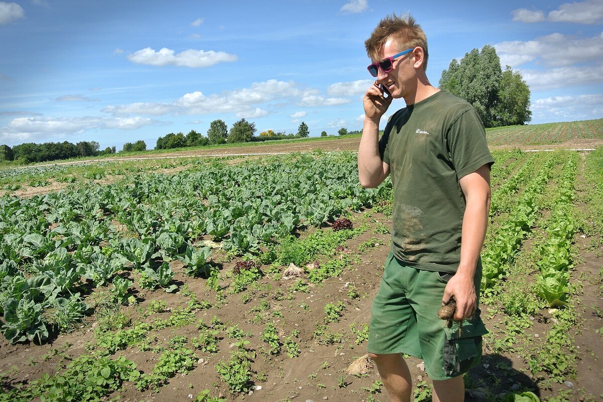Crop planting jeopardy: Temporary foreign workers delayed for Kawartha Lakes
