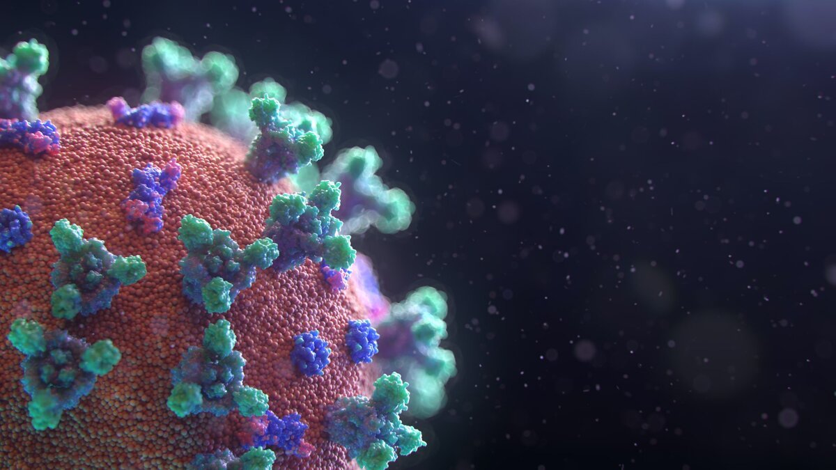 Outbreak at Ross declared over