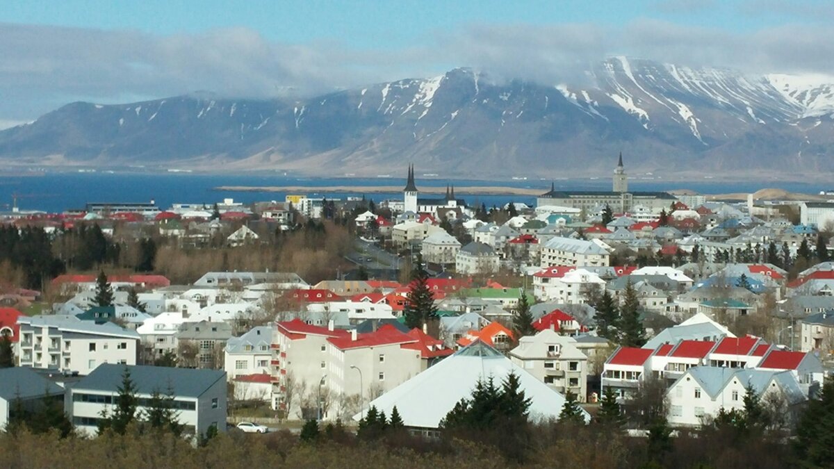 The Icelandic fish sticks revelation
