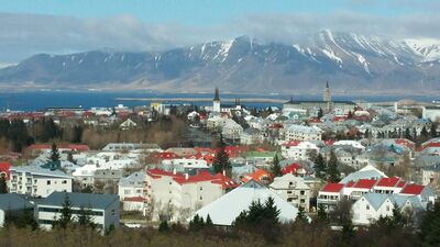 The Icelandic fish sticks revelation