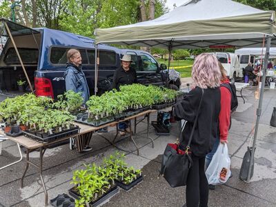 ‘An outdoor grocery store:’ Lindsay Farmers Market re-opens